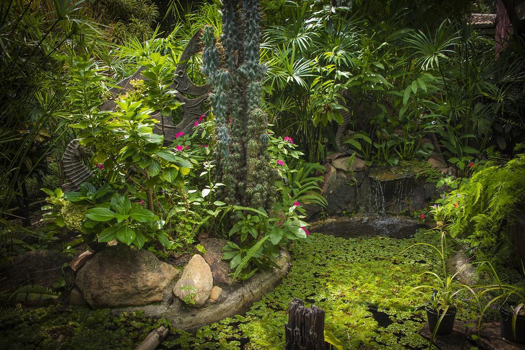 Pousada Fenix Pirenópolis エクステリア 写真