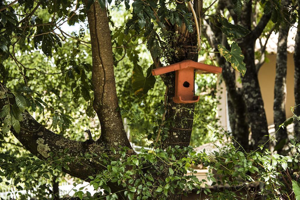 Pousada Fenix Pirenópolis エクステリア 写真